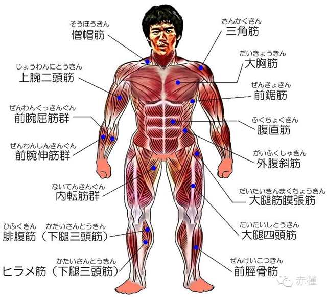 [火爆]选美大赛投票进行中